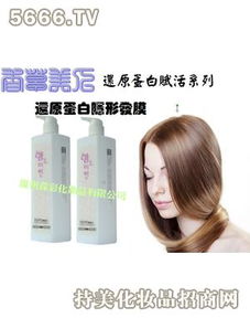 森彩美发用品全解析 产品、服务与创业机遇